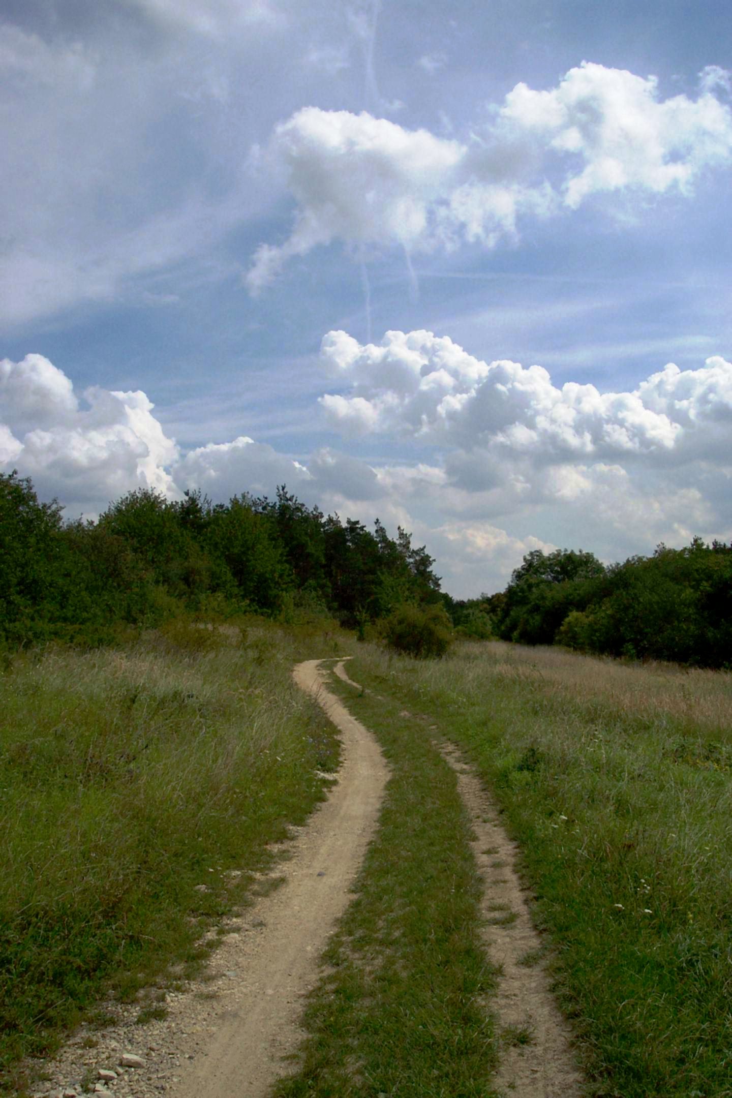 příroda