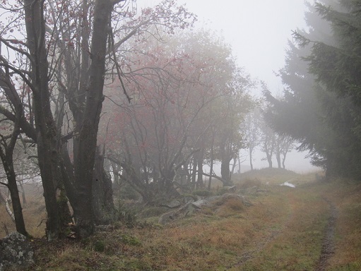 podzim-zima